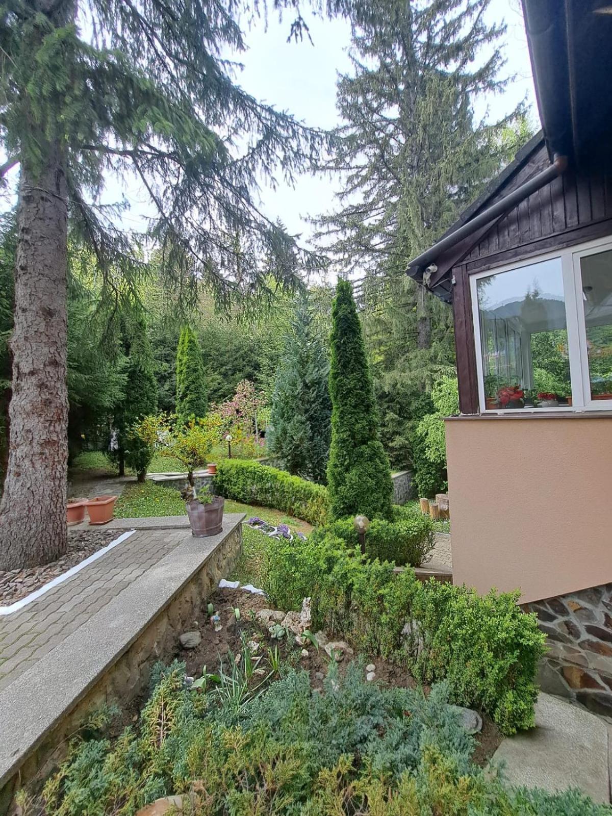 Pensiunea Colina Poiana Brasov Exterior photo