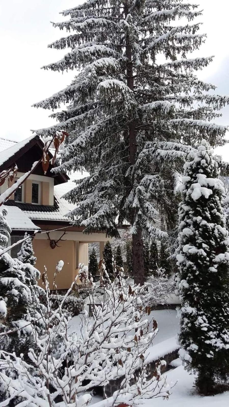 Pensiunea Colina Poiana Brasov Exterior photo