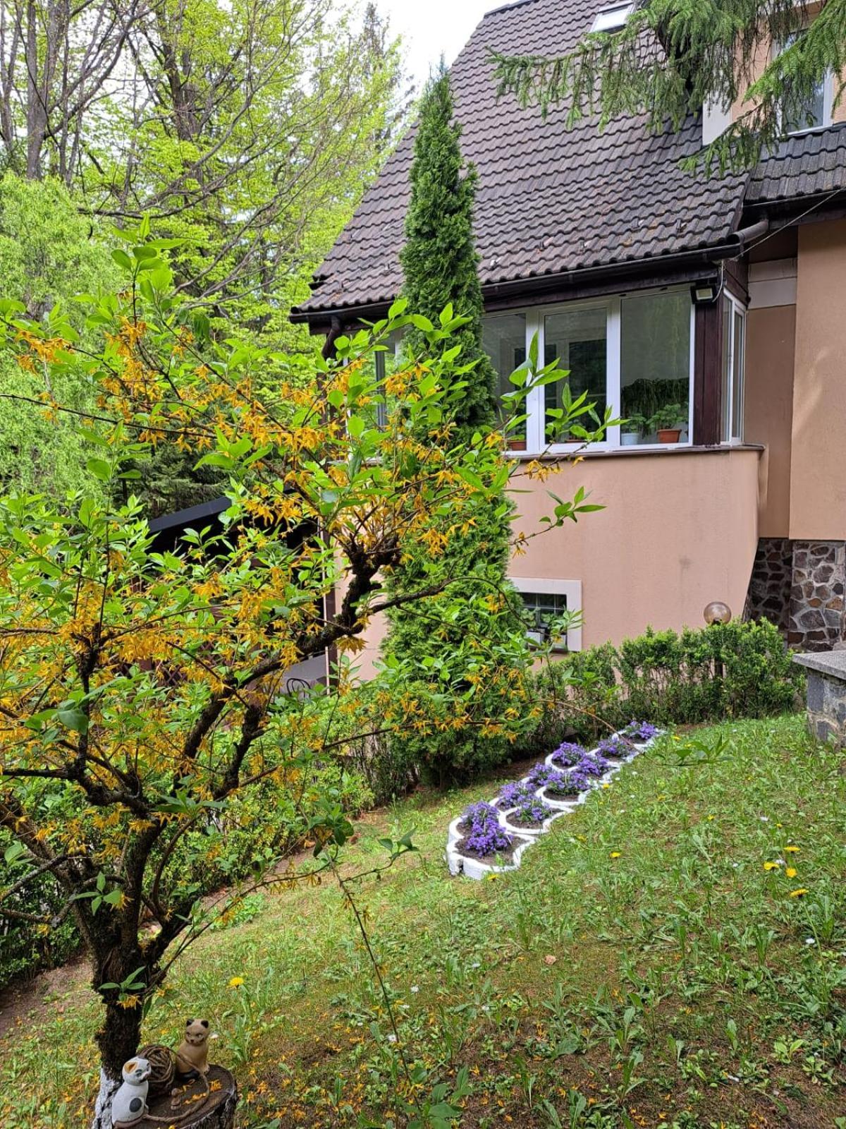 Pensiunea Colina Poiana Brasov Exterior photo