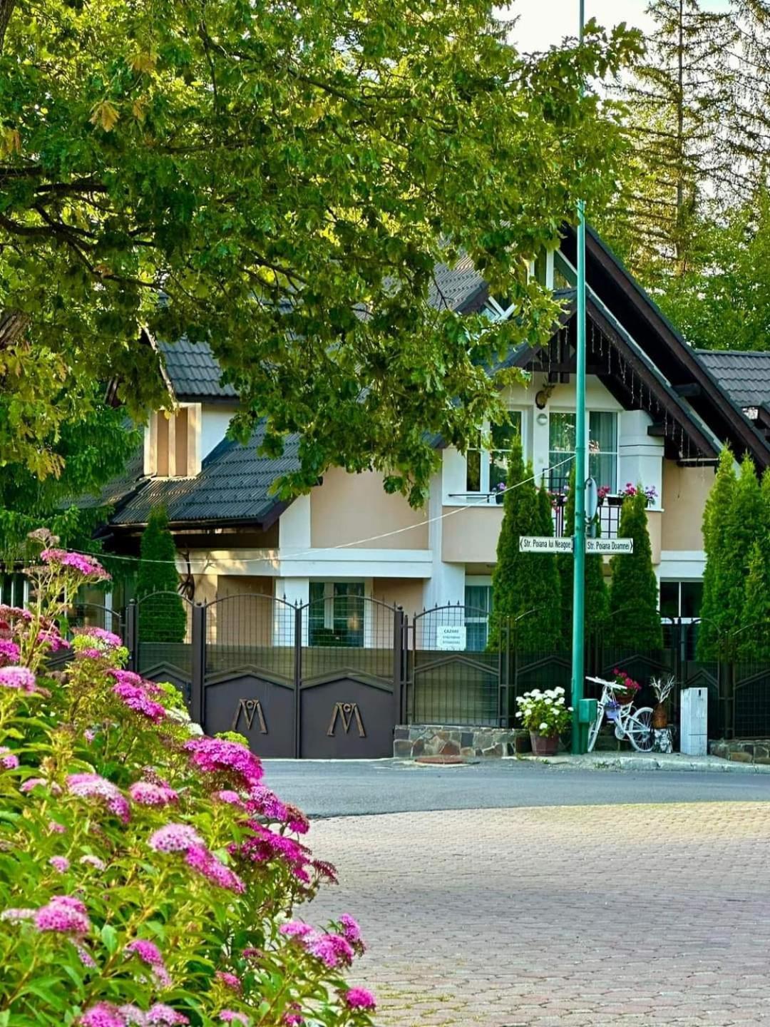 Pensiunea Colina Poiana Brasov Exterior photo