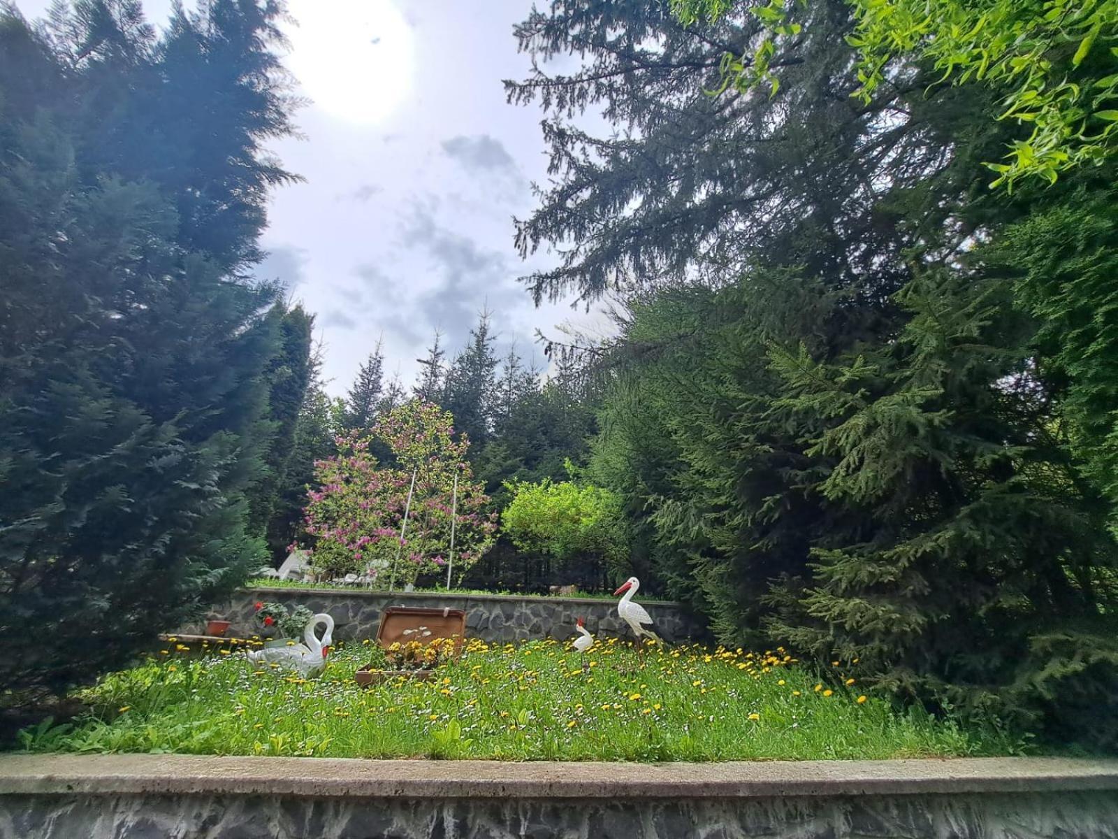 Pensiunea Colina Poiana Brasov Exterior photo