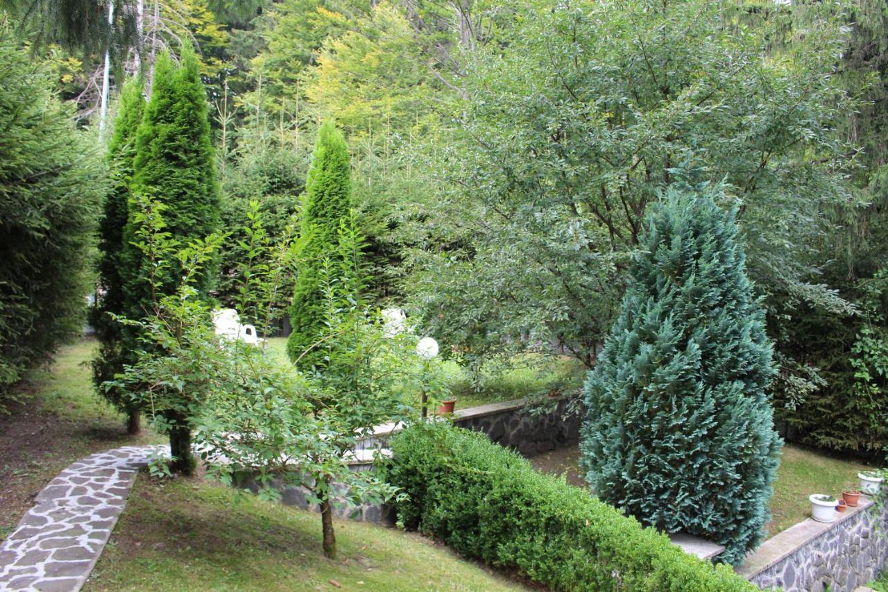 Pensiunea Colina Poiana Brasov Exterior photo
