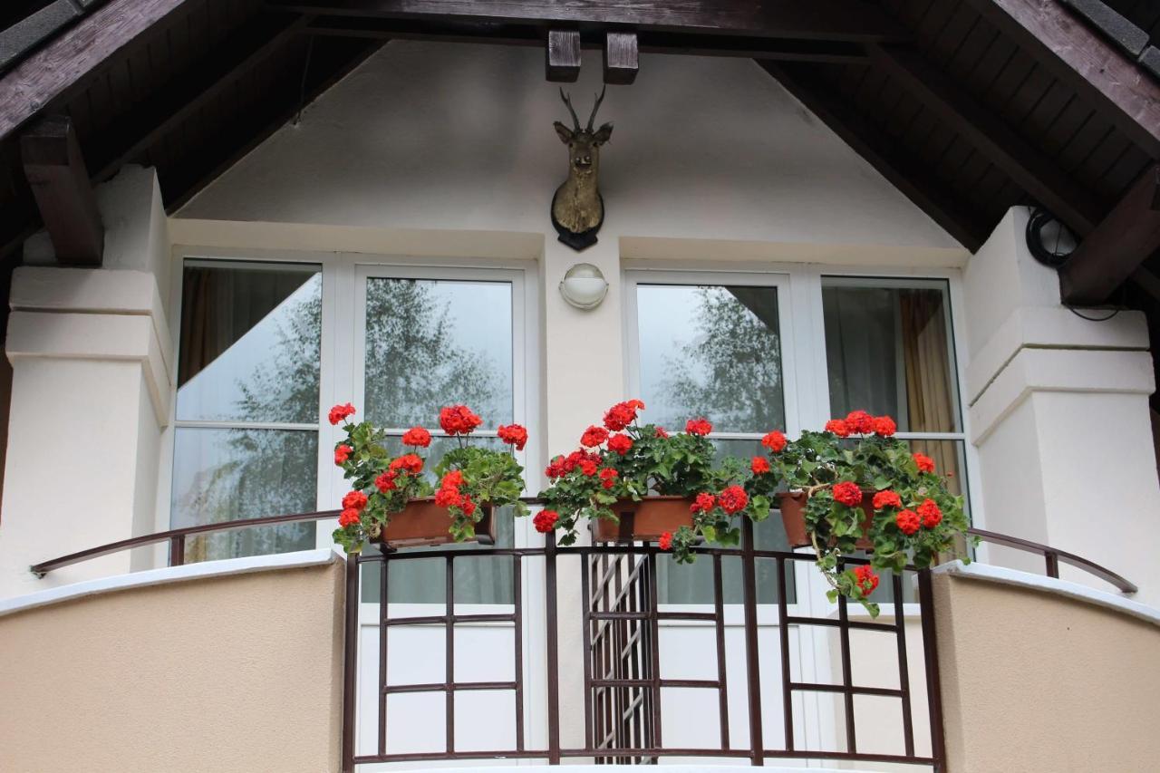 Pensiunea Colina Poiana Brasov Exterior photo